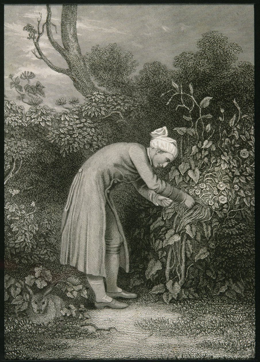William Cowper (1731-1800) od English School