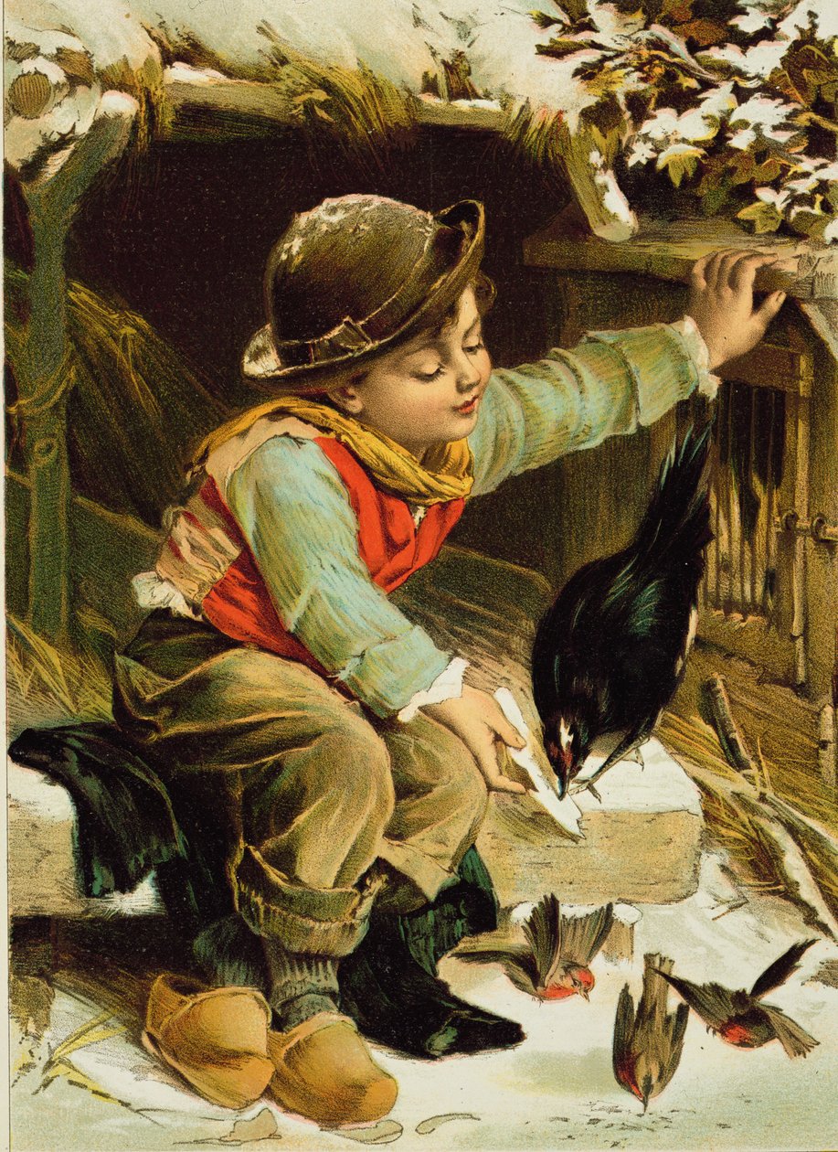 Mladý chlapec s ptáky ve sněhu od English School