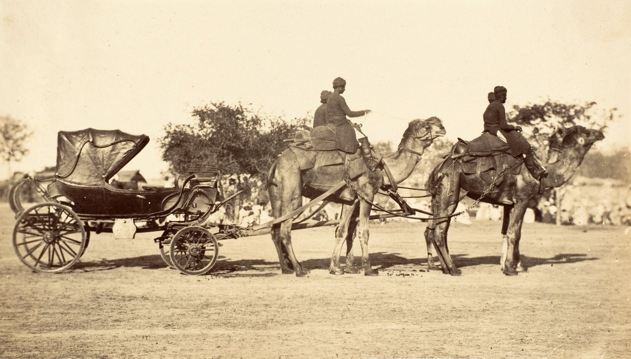 Camel Carriage, cca 1860 (hlubotisk) od English Photographer