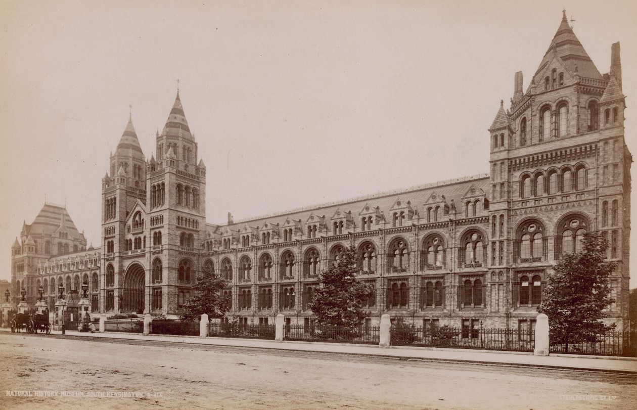 Přírodovědné muzeum, South Kensington, Londýn od English Photographer