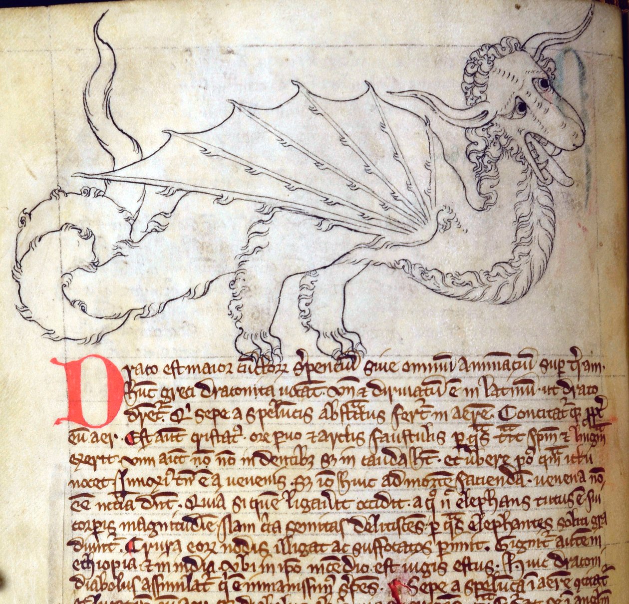 CCA-LitMs/D/10 fol. 24v Dragon, z Bestiáře od English School