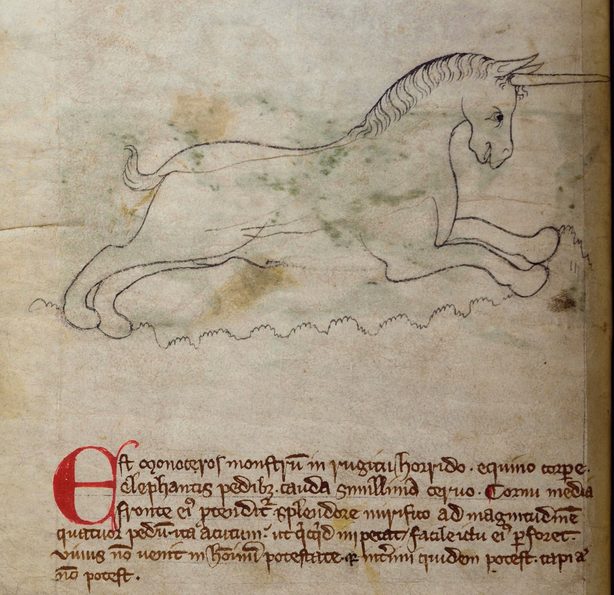 CCA-LitMs/D/10 fol. 2v Monoceros, od Bestiáře od English School