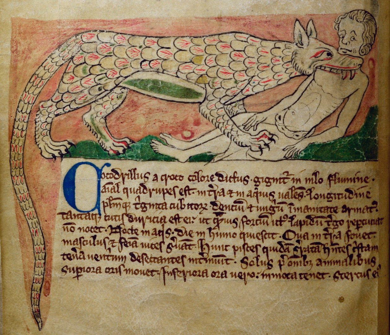 CCA-LitMs/D/10 fol. 3v Crocodile, od Bestiary od English School