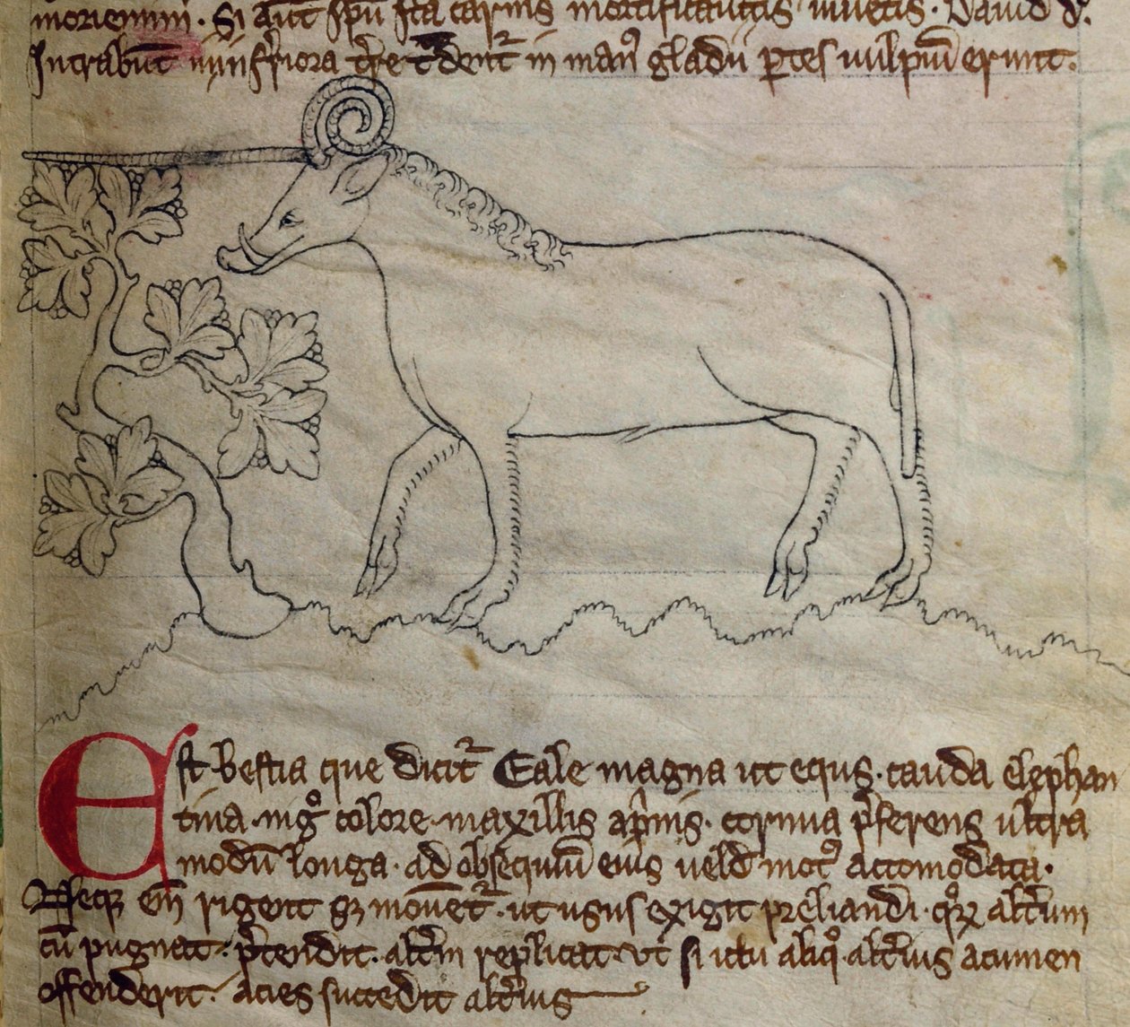 CCA-LitMs/D/10 fol. 4r Yale z Bestiáře od English School