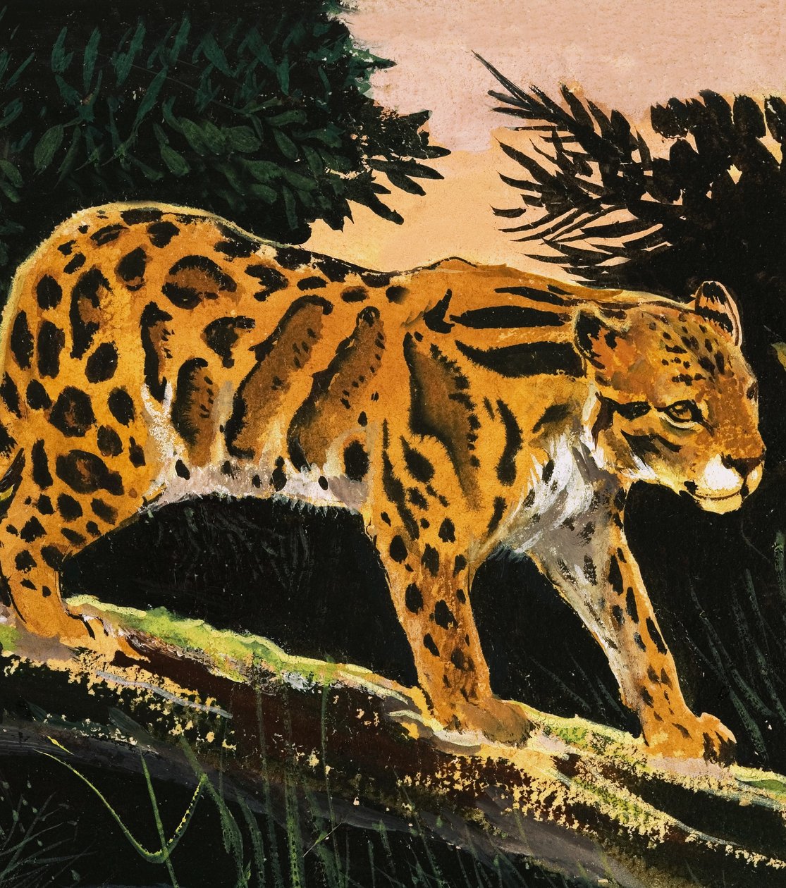 Leopard obláčkový od English School