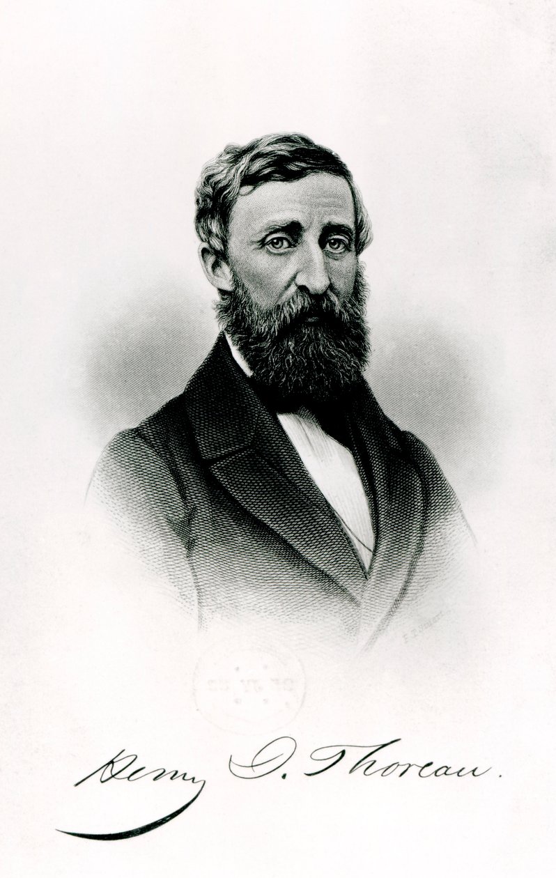 Henry David Thoreau (1817-62) od English School