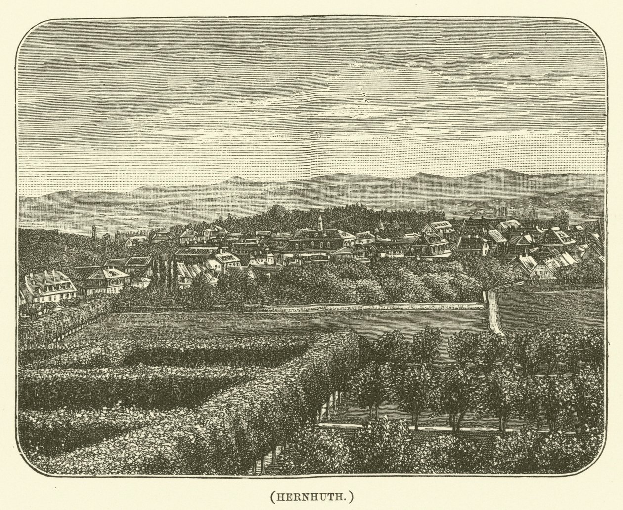 Hernhuth (rytina) od English School