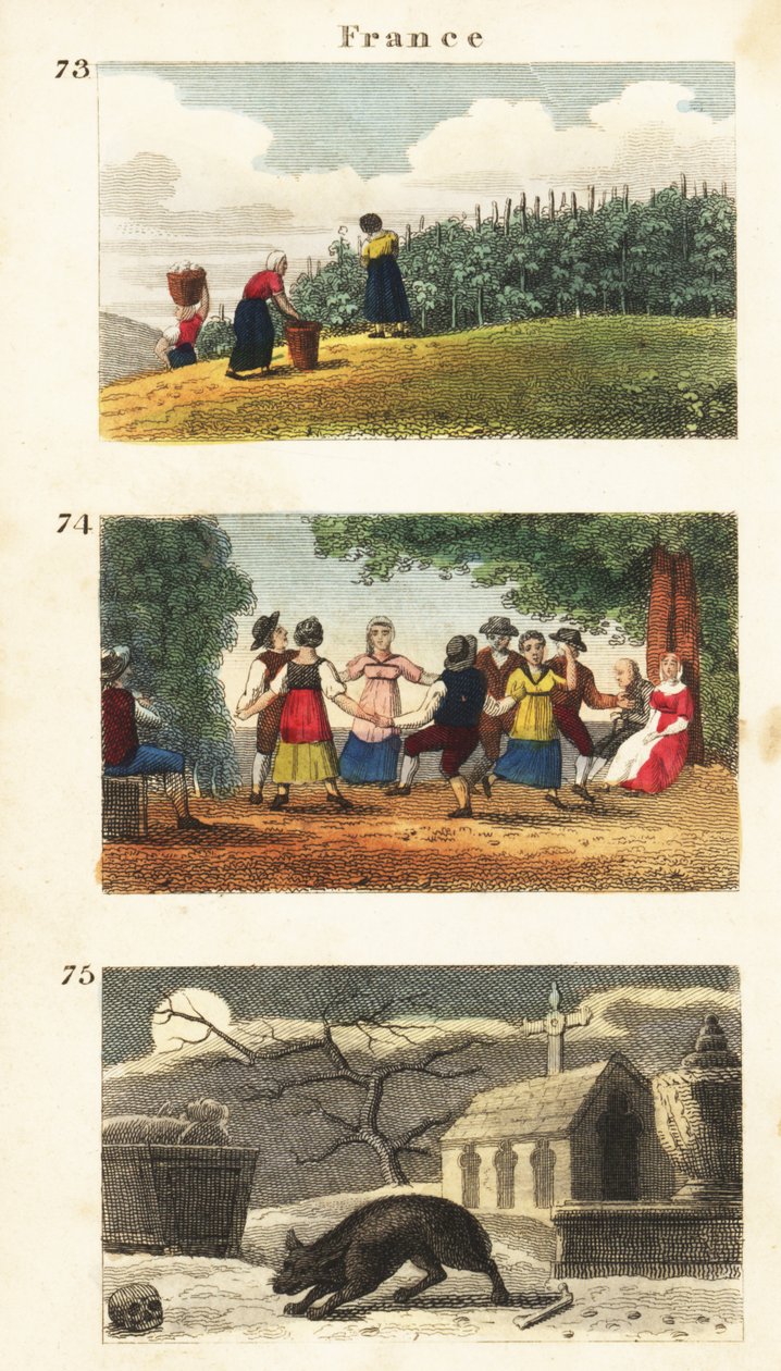 Historické pohledy na Francii od English School