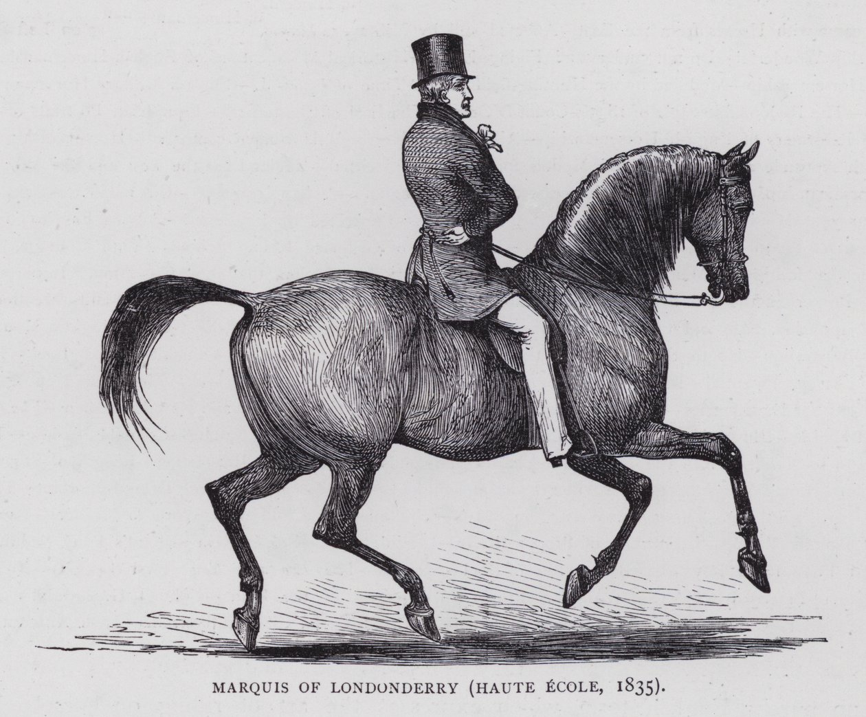 Marquis of Londonderry (rytina) od English School