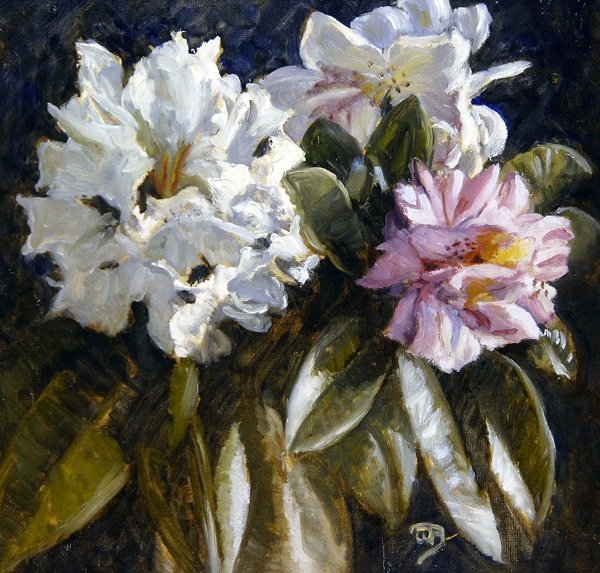Rhododendron (olej na papíře) od English School