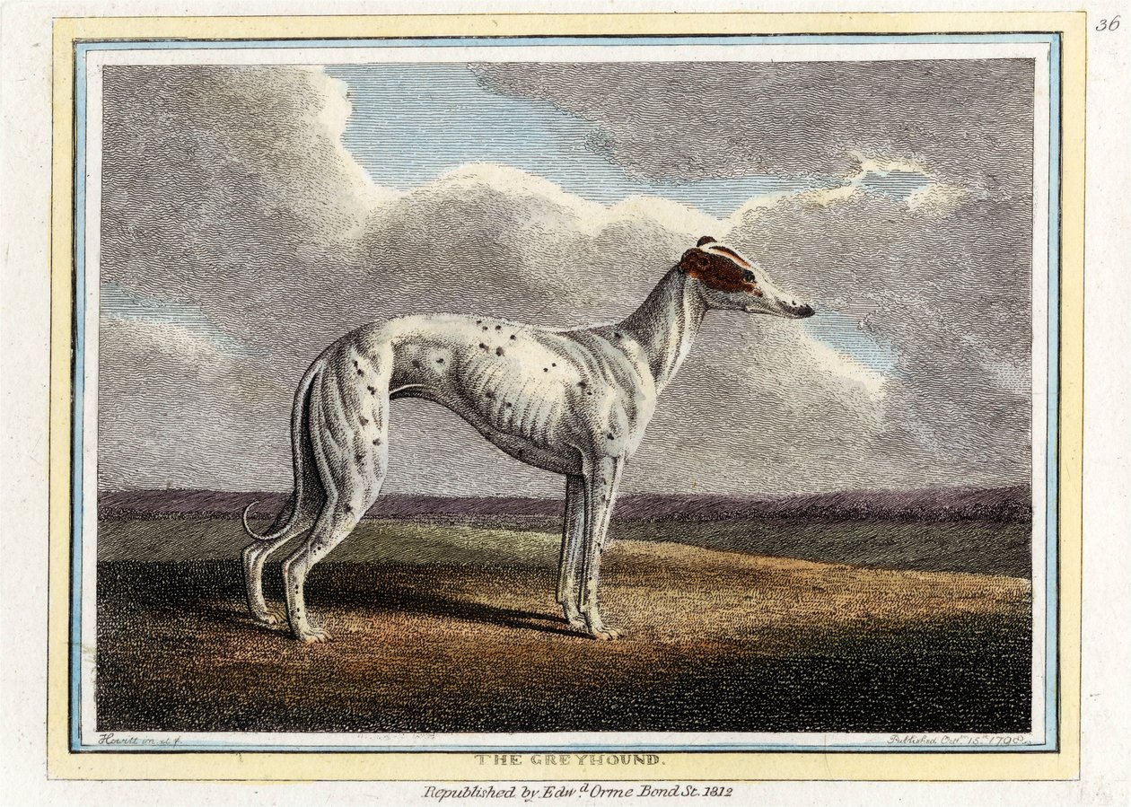 The Greyhound, hospoda. 1812. od English School