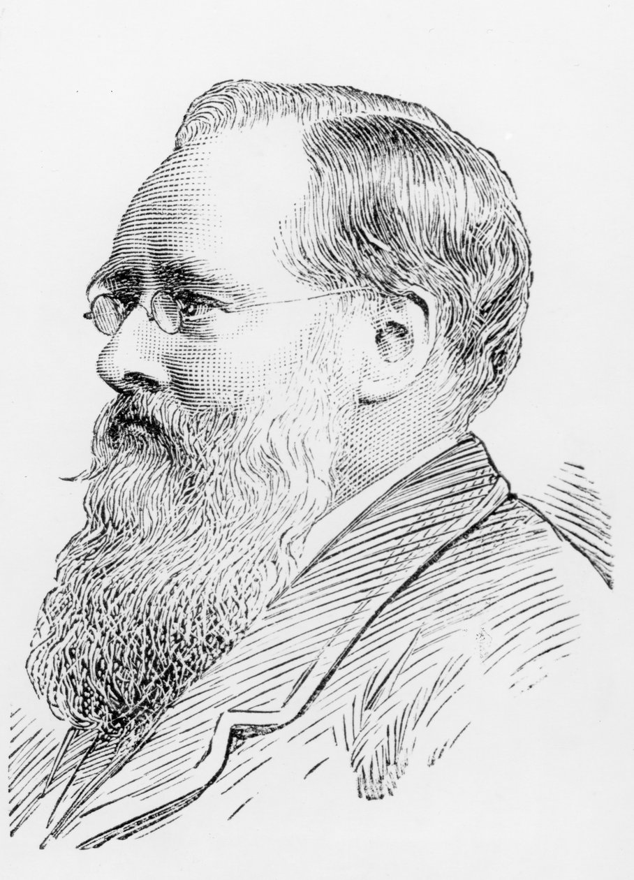 Wilkie Collins (1824-89) (rytina) (černobílá fotografie) od English School