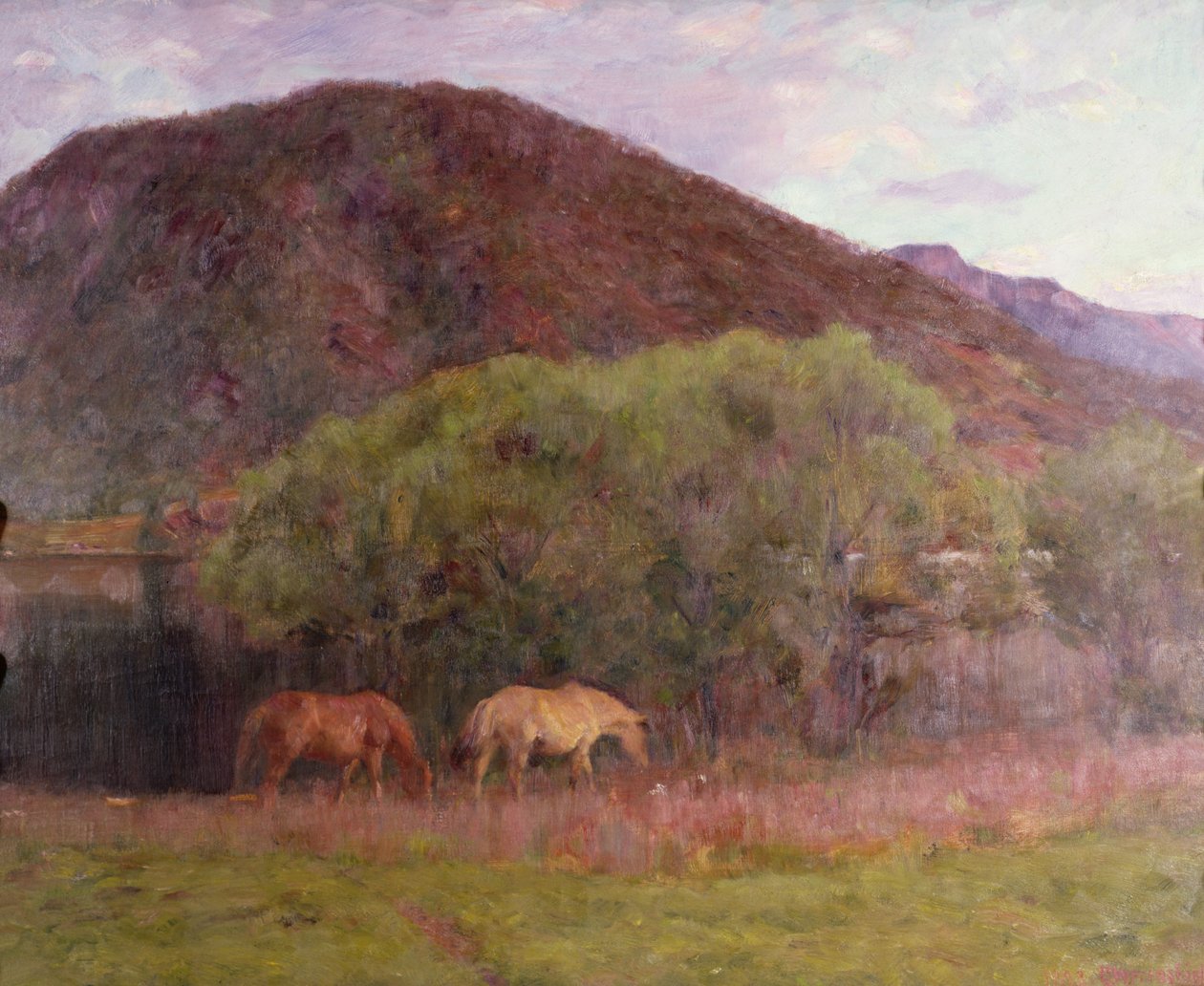 Letní večer v Kviteseid, 1893 od Erik Theodor Werenskiold