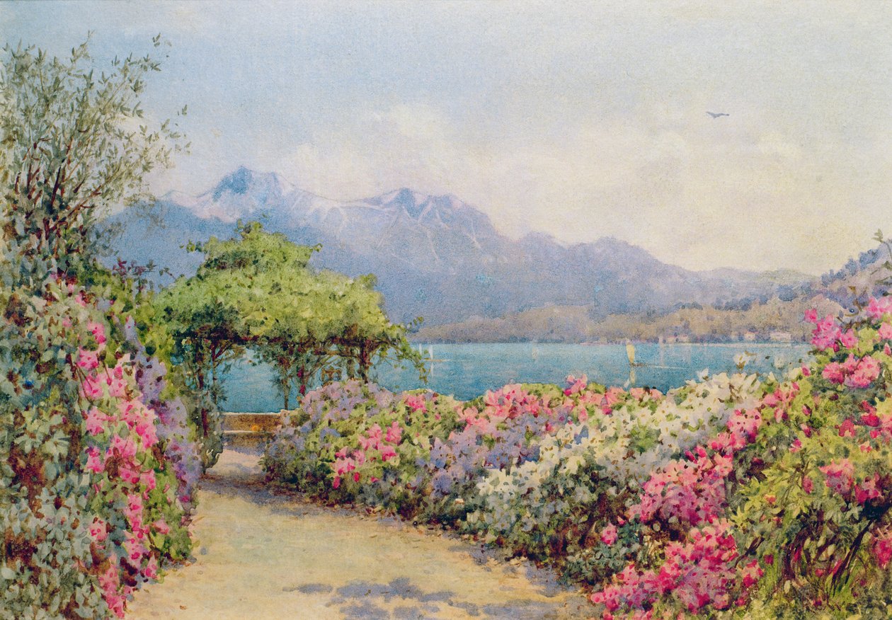 Jezero Como z Villa Carlotta od Ernest Arthur Rowe