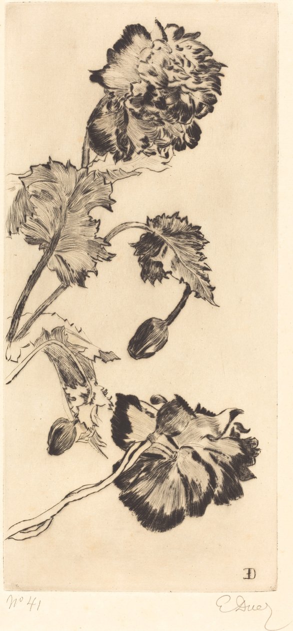 Květiny (Fleurs) od Ernest Ange Duez