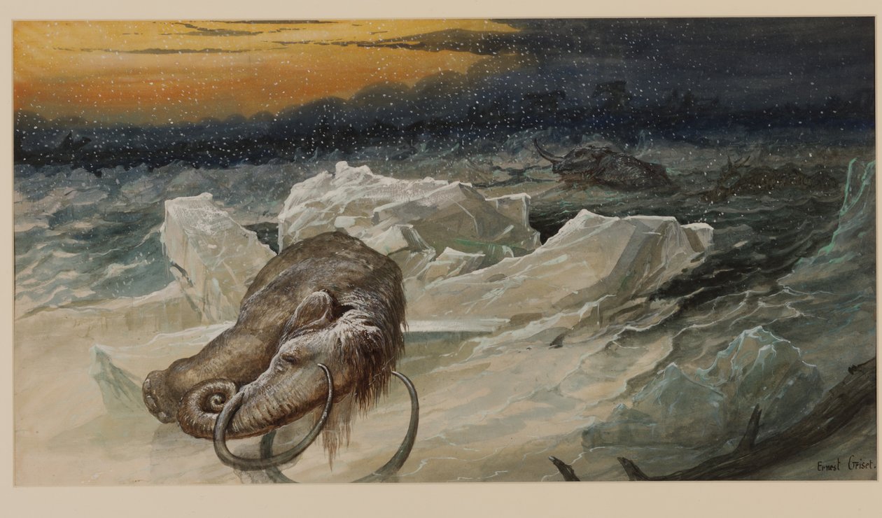 Vlněný mamut od Ernest Henry Griset