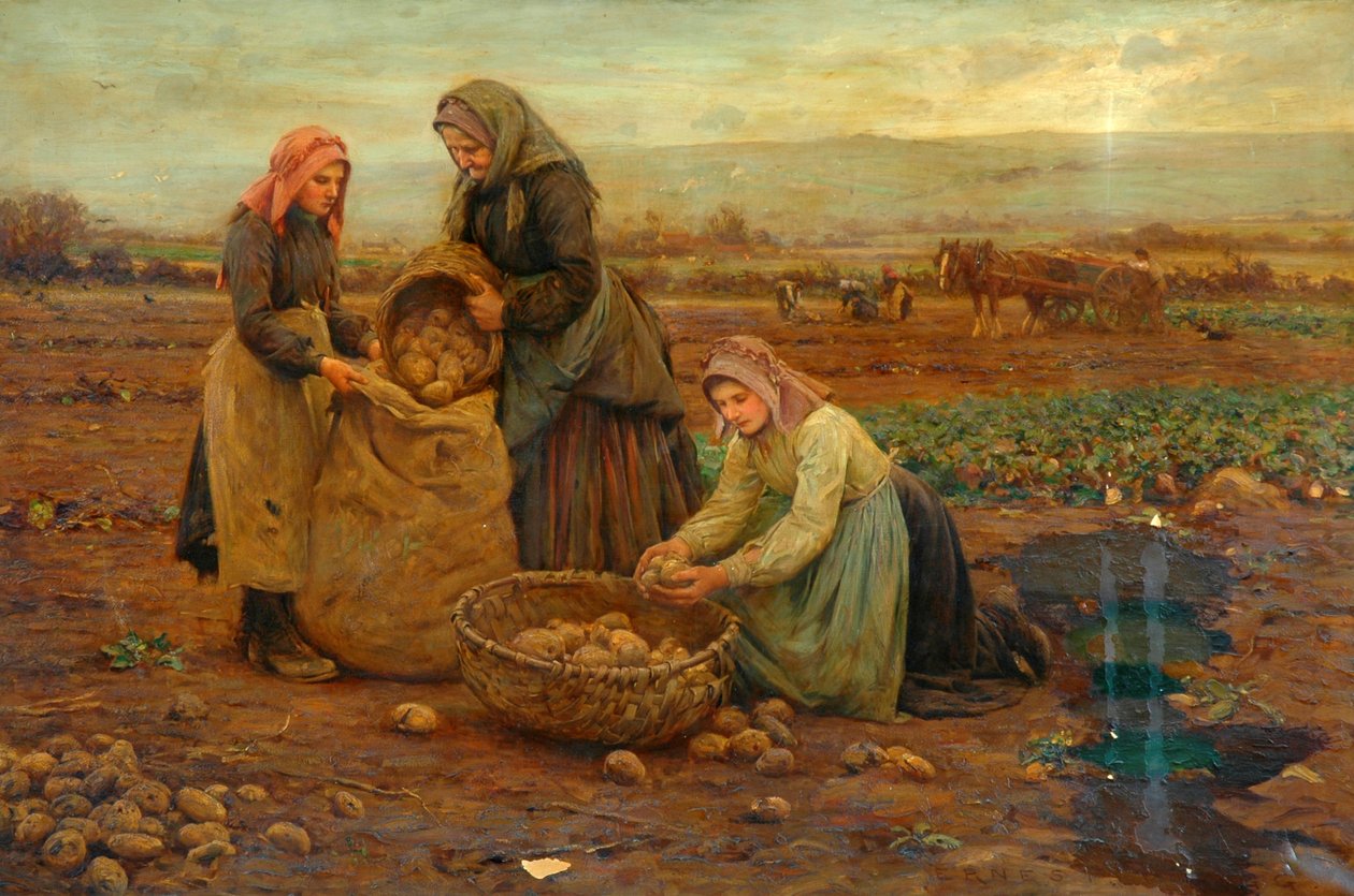 Sběrači brambor (olej na plátně) od Ernest Higgins Rigg