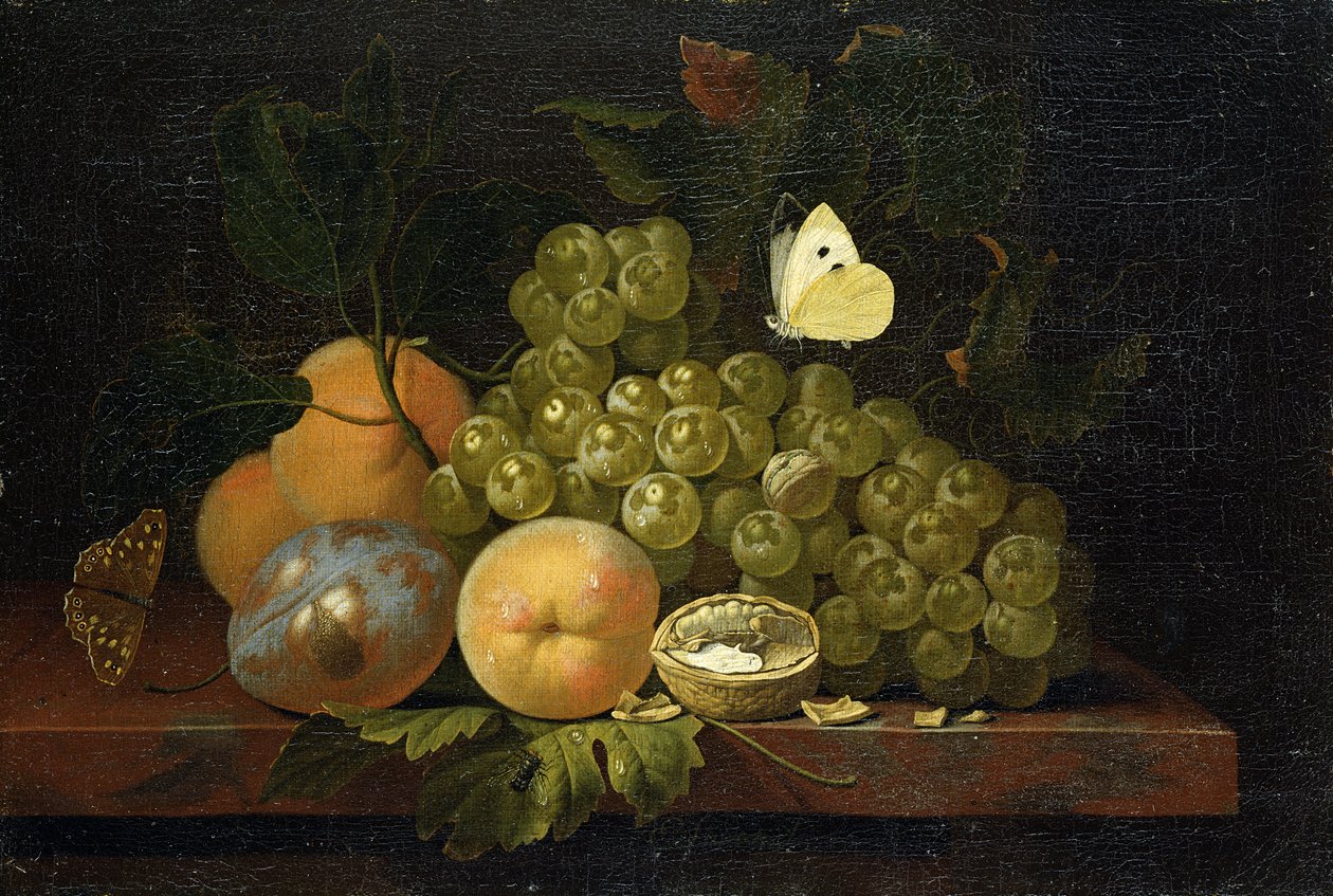 Studie ovoce od Ernst Stuven