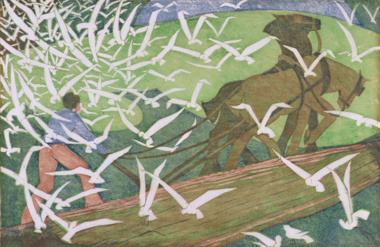 Ptáci po pluhu od Ethel Spowers