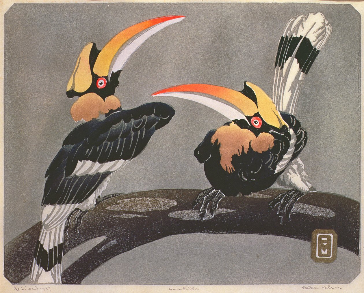 Zoborožci, 1937 (linoryt) od Ethleen Palmer