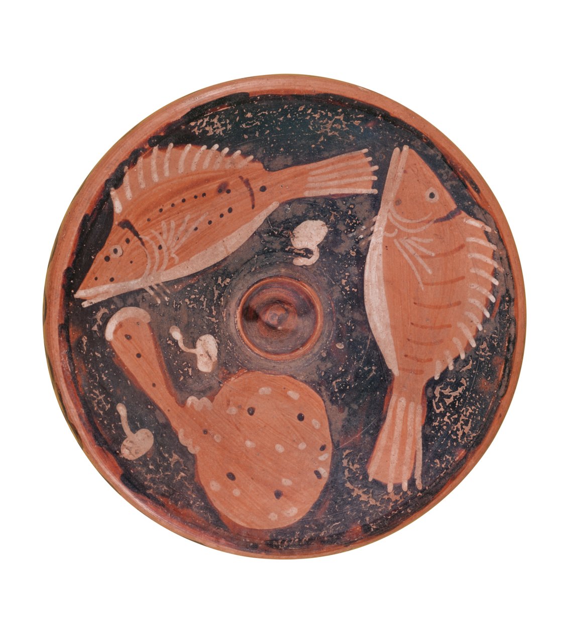 Miska zdobená rybami, od Vulci (keramika) od Etruscan