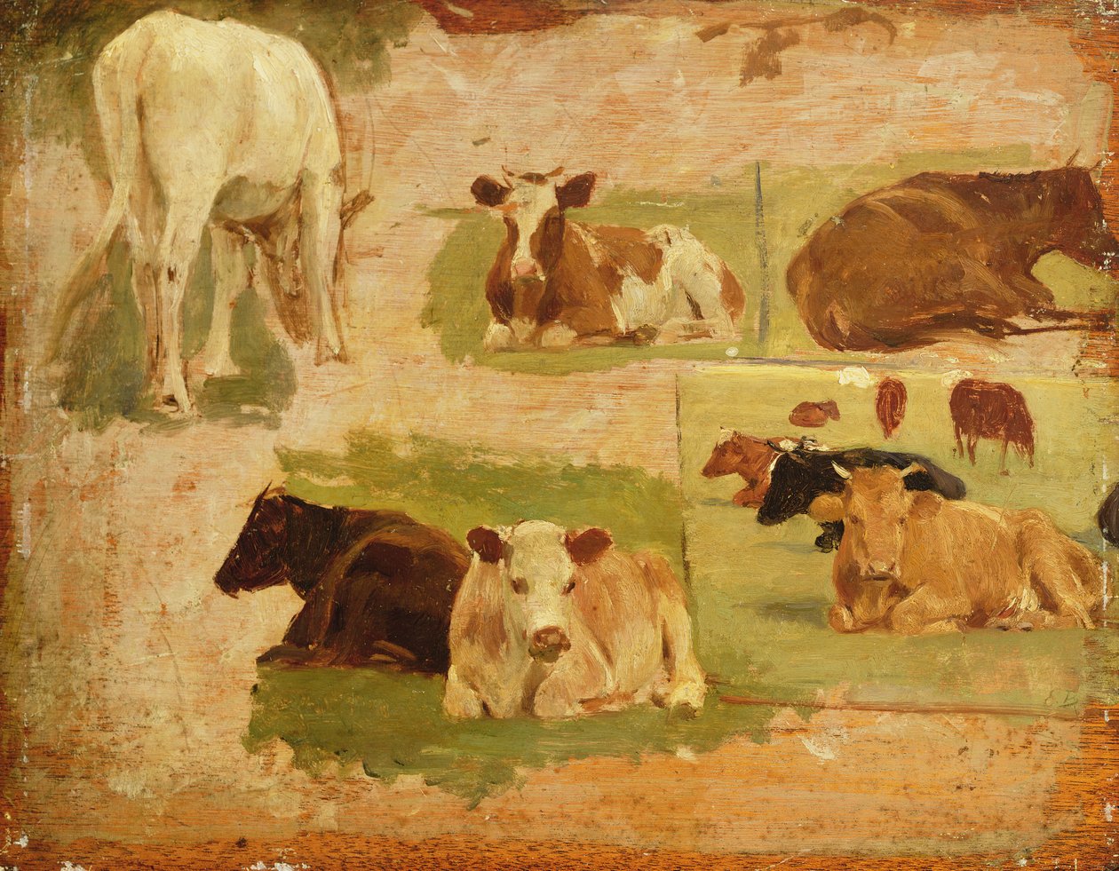 Studie krav, kolem roku 1860 od Eugene Louis Boudin