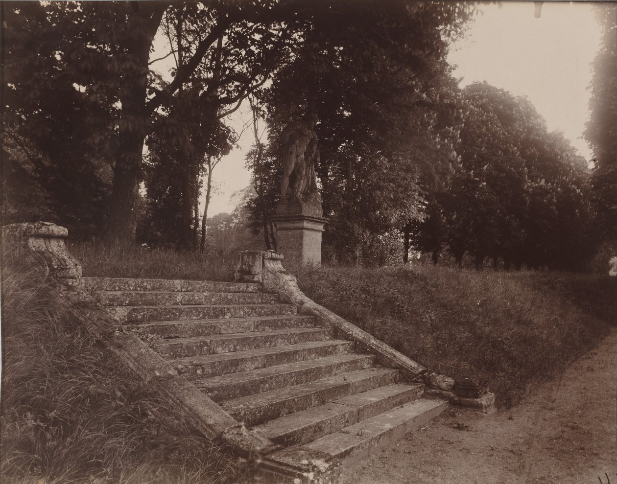 Parc de Sceaux, 1925 (foto) od Eugène Atget