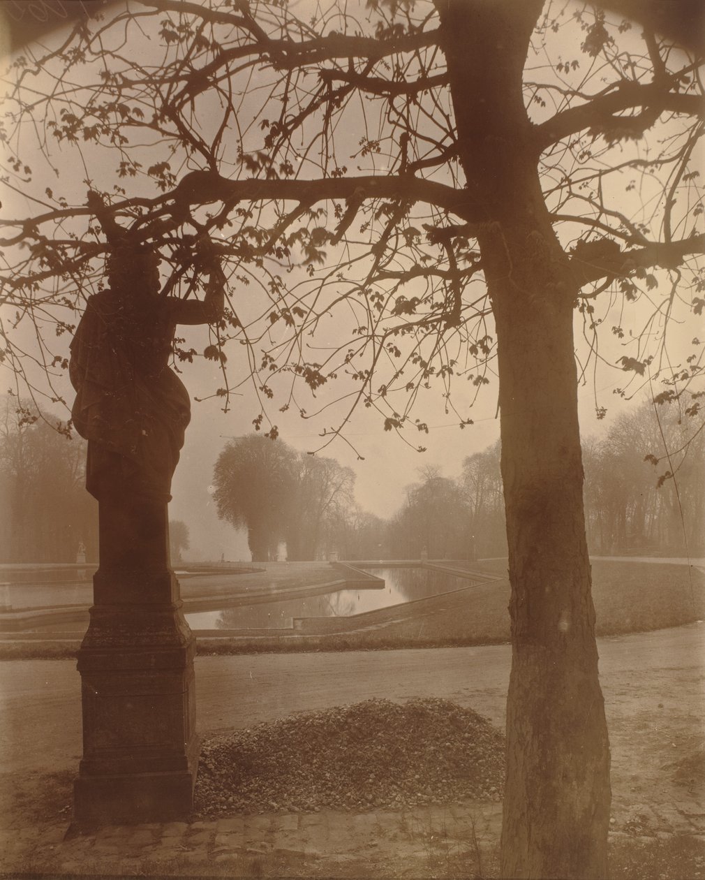 Saint-Cloud,1926 (foto) od Eugène Atget