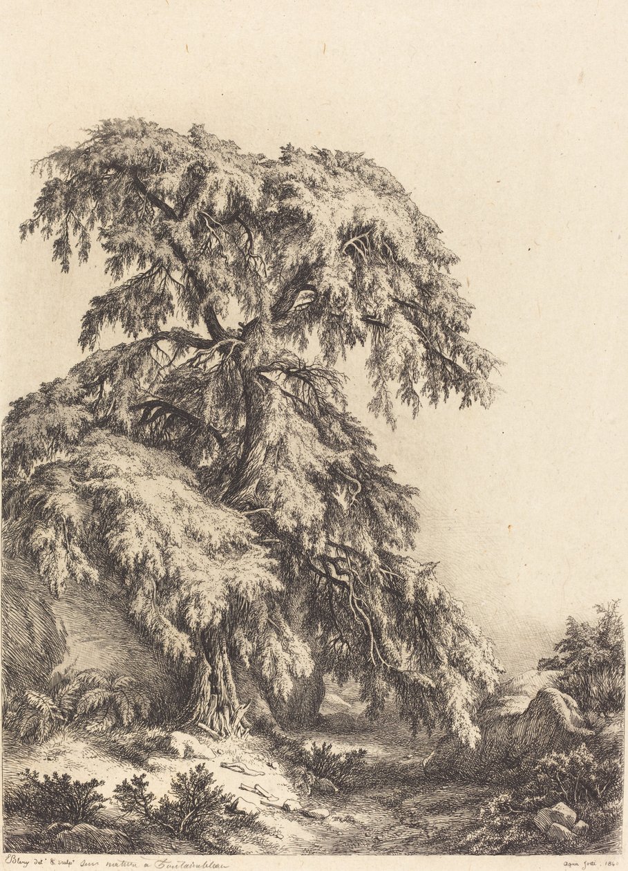 Jalovec, 1840. od Eugene Bléry