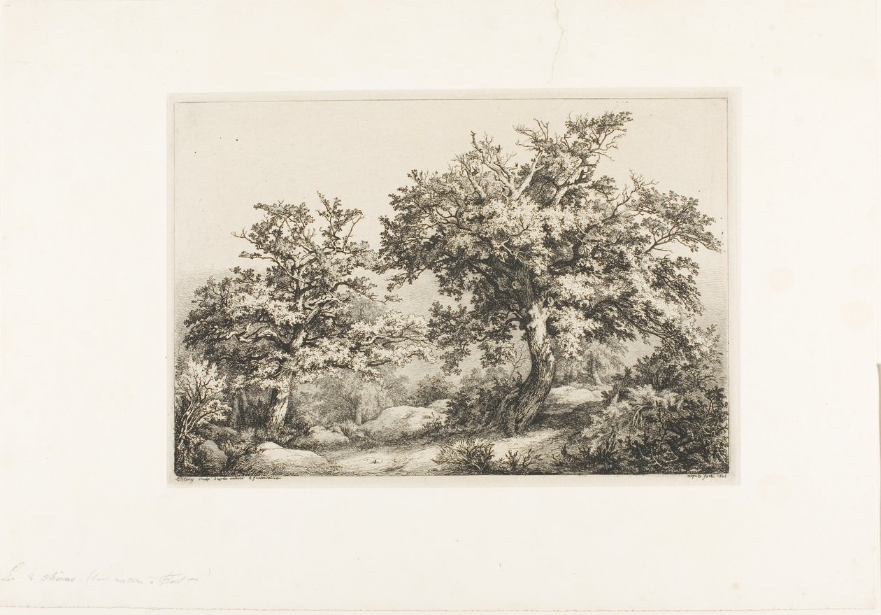 Dva duby, Fontainebleau od Eugene Bléry