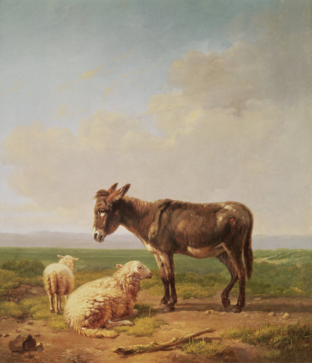 Osel a ovce, 1849 (olej) od Eugene Joseph Verboeckhoven