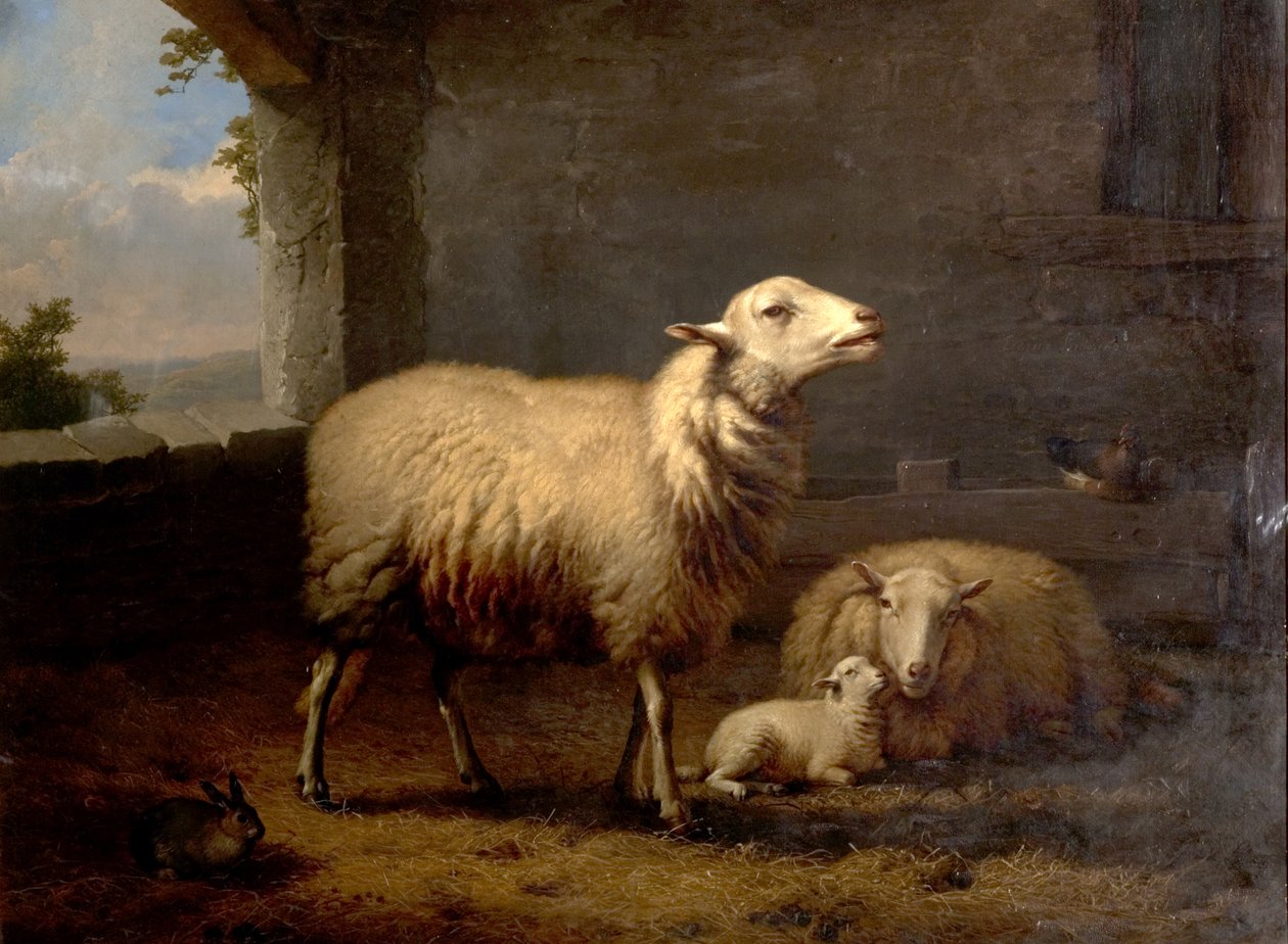 Ovce, 1876 od Eugene Joseph Verboeckhoven