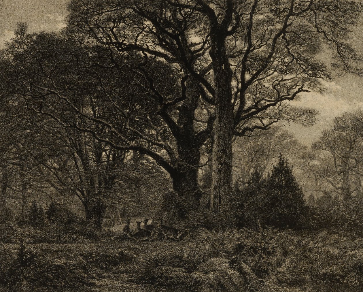 Les Fontainbleau od Eugene Leroux