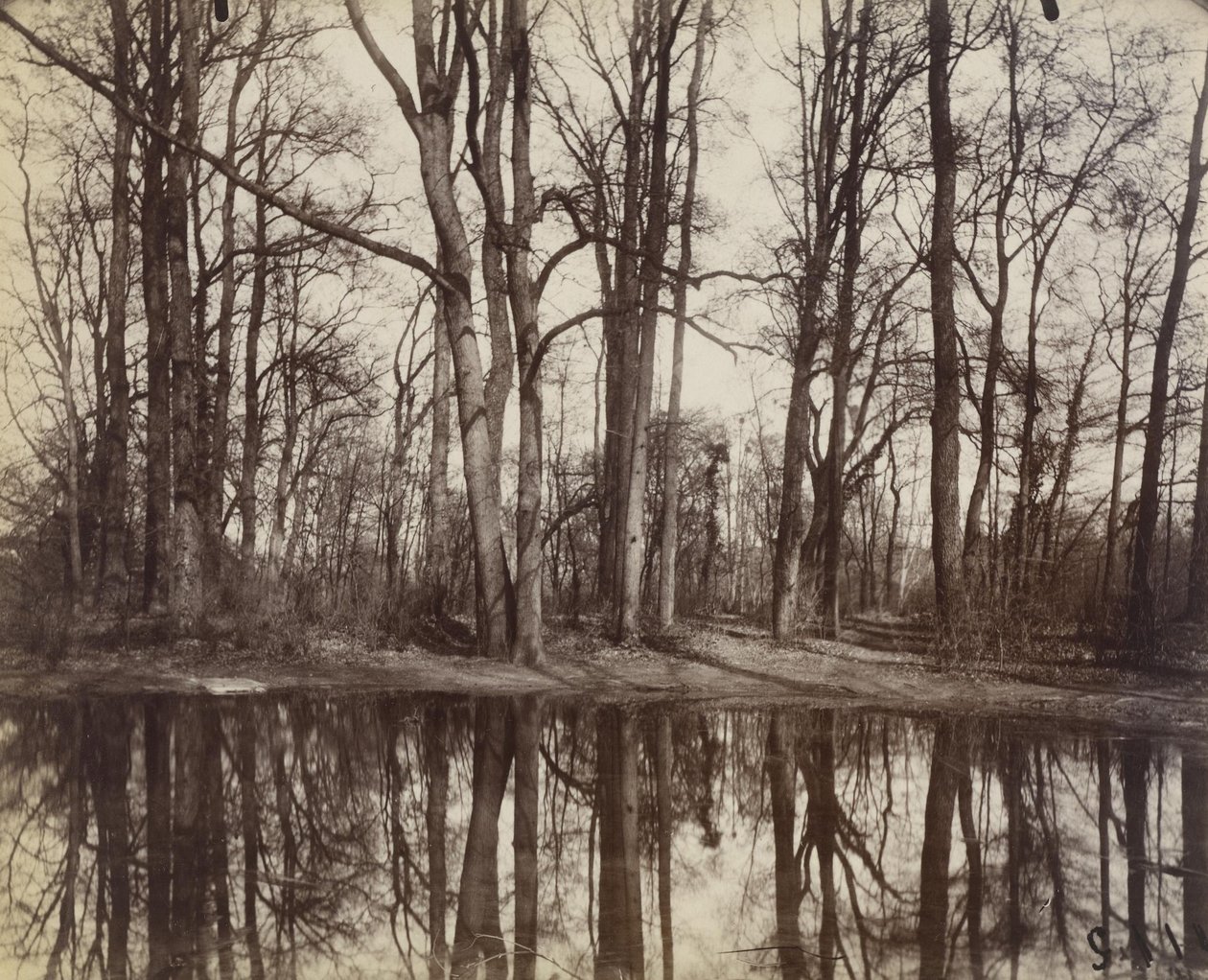 Saint-Cloud (zahrady zámku Philippe Duc dOrleans) od Eugène Atget