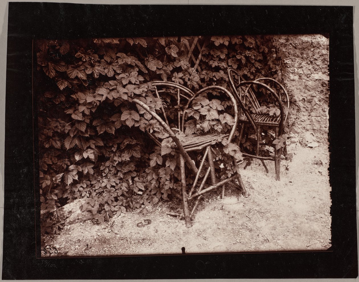 Chmel od Eugène Atget