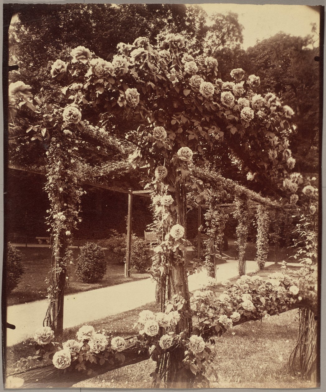 [Jardin de Bagatelle] od Eugène Atget