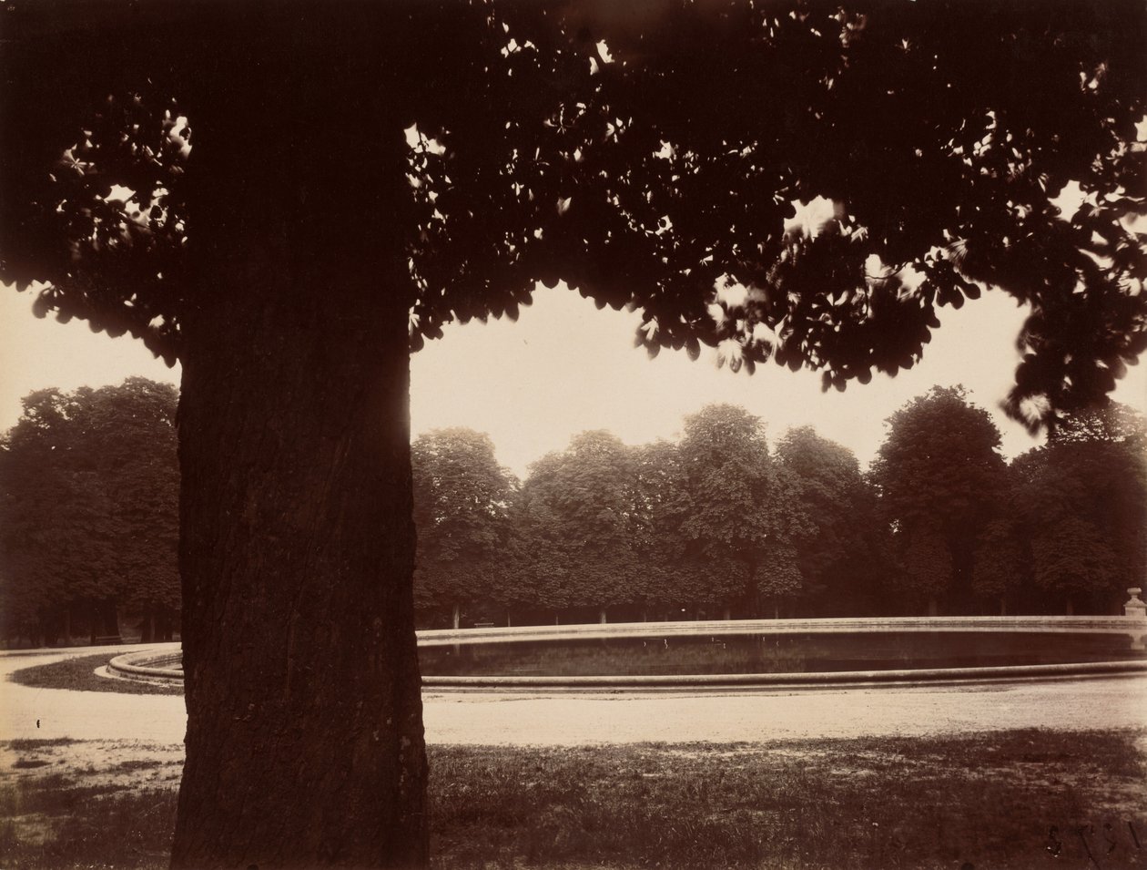 Saint-Cloud,1926 (foto) od Eugène Atget
