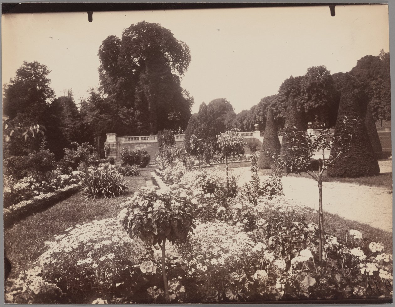 Saint-Cloud od Eugène Atget