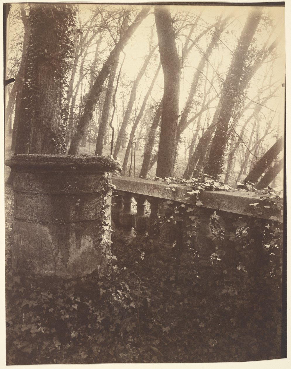 Park Saint-Cloud, Paříž od Eugène Atget