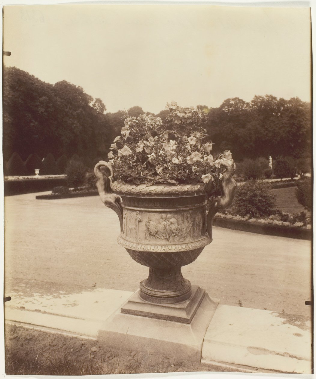 Versailles, Váza od Ballina, 1902. od Eugène Atget