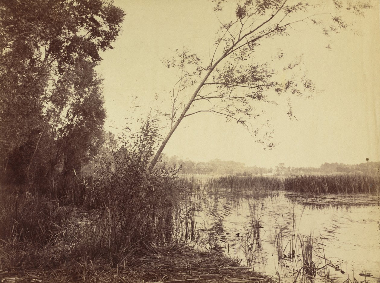 Marais de Fampoux, počátek 60. let 19. století. od Eugène Cuvelier