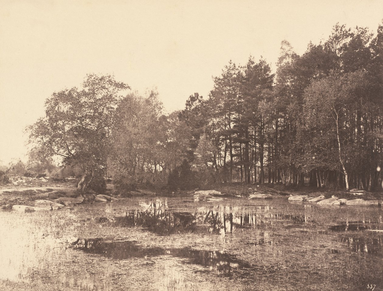 Marsh at Piat (Belle-Croix Plateau) od Eugène Cuvelier