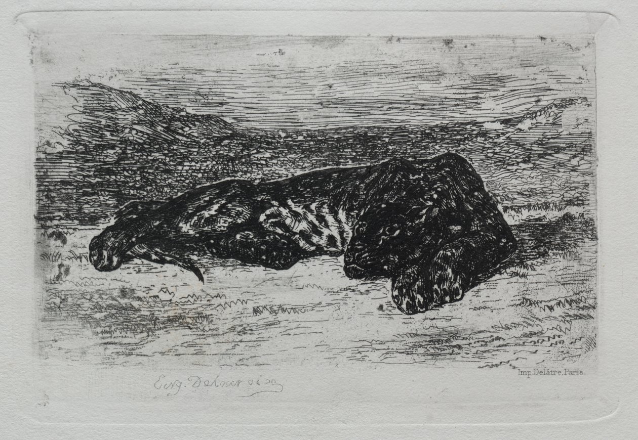 Krčící se tygr v poušti od Eugène Delacroix