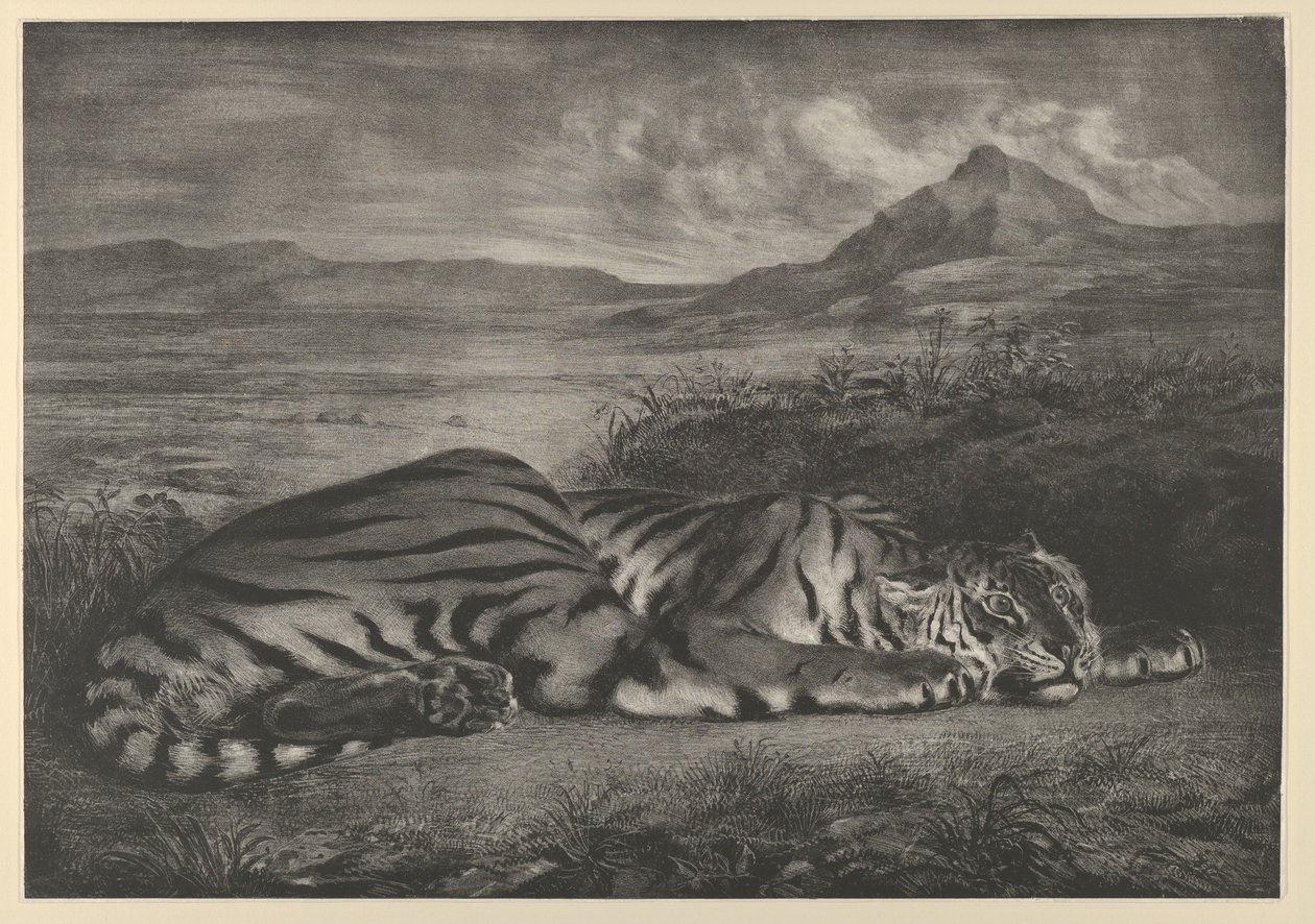 Královský tygr, 1829., 1829. od Eugène Delacroix