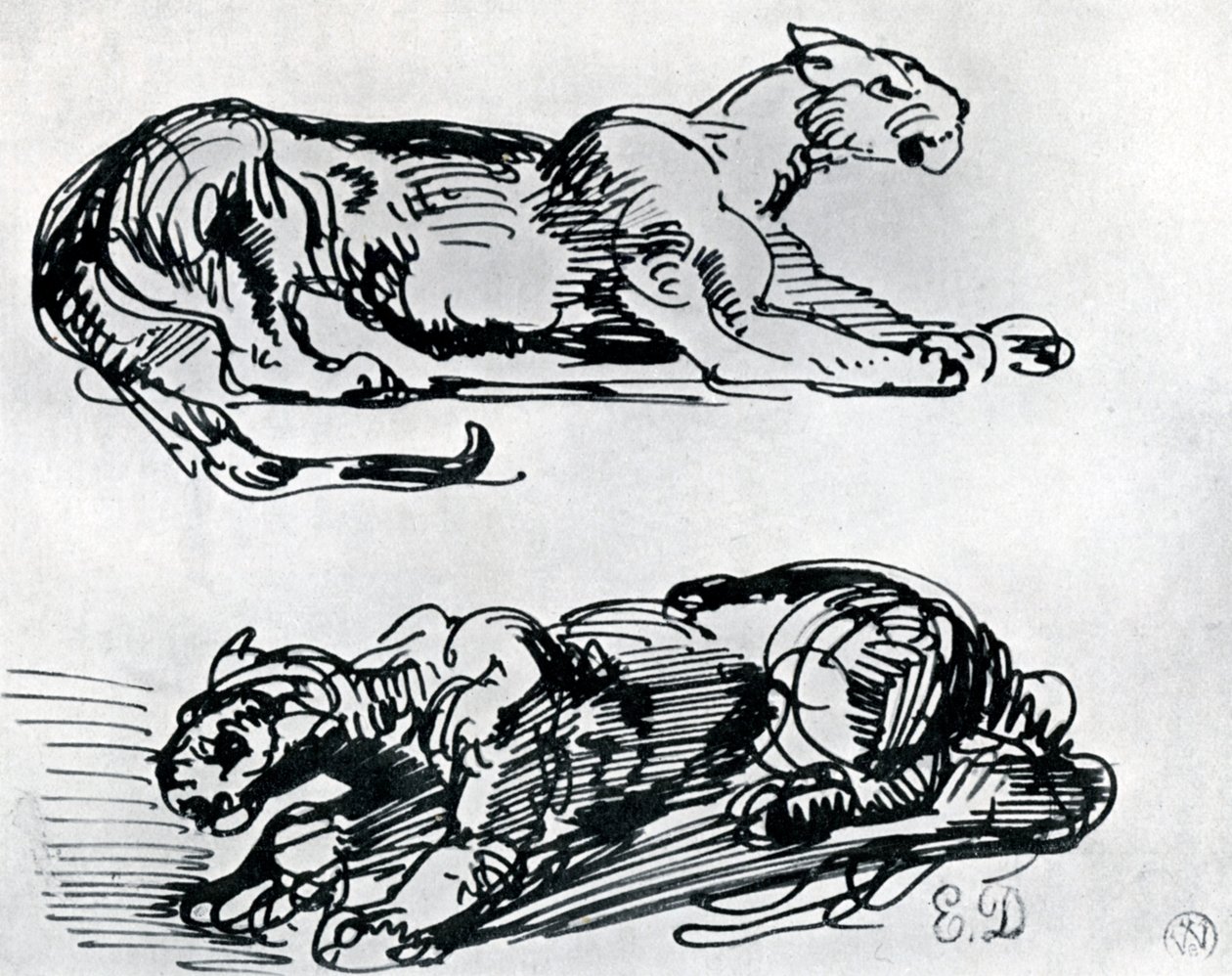 Studie panterů, 1913 od Ferdinand Victor Eugene Delacroix