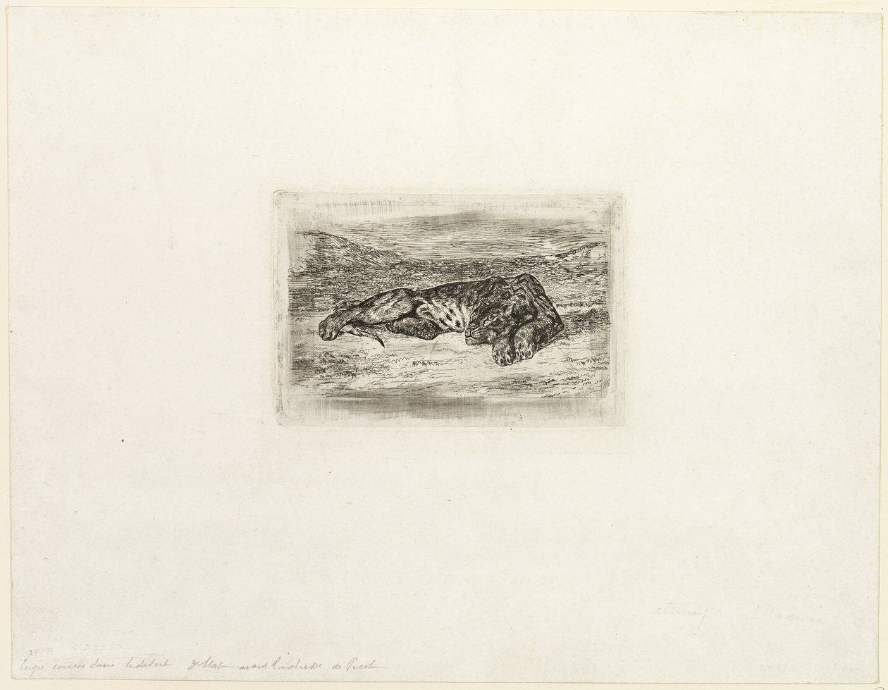 Tygr odpočívá v poušti od Eugène Delacroix