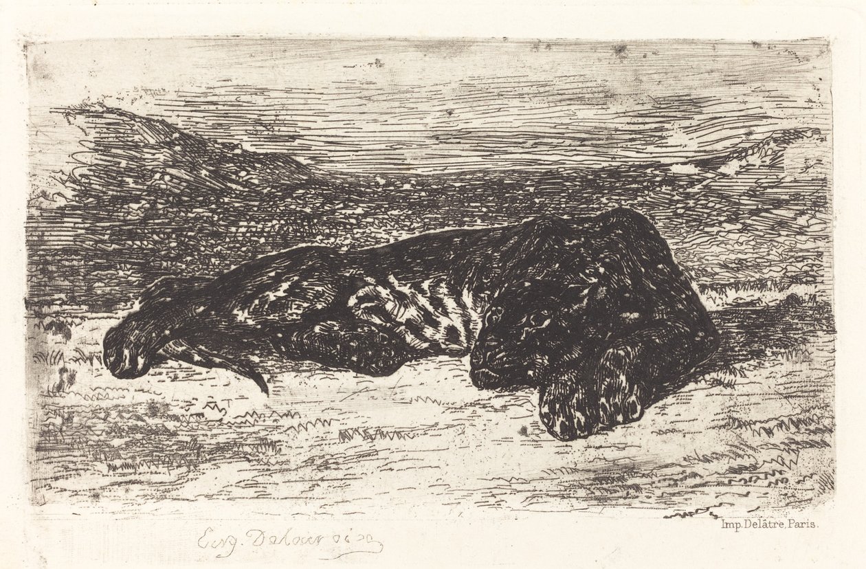Tygr spí v poušti, c. 1830. od Eugène Delacroix