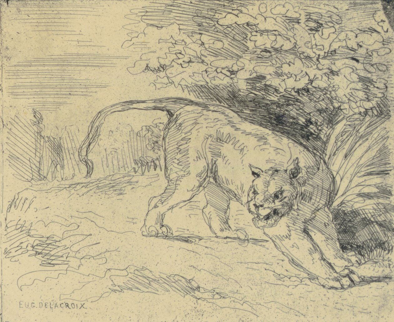 Tigre en Arrêt od Eugène Delacroix