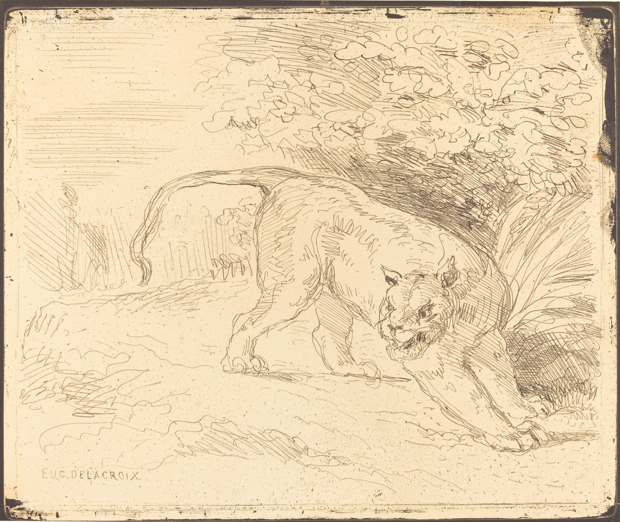 Tygr v zastavení od Eugène Delacroix