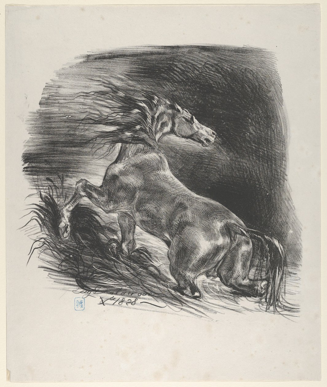 Divoký kůň, 1828., 1828. od Eugène Delacroix